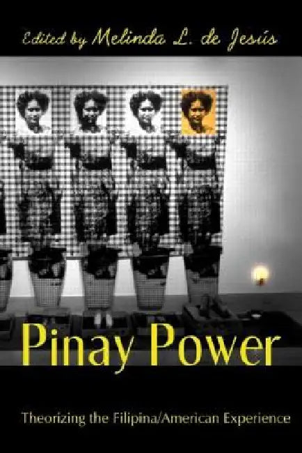 Pinay Power: Peminist Critical Theory by Melinda L. de Jesús
