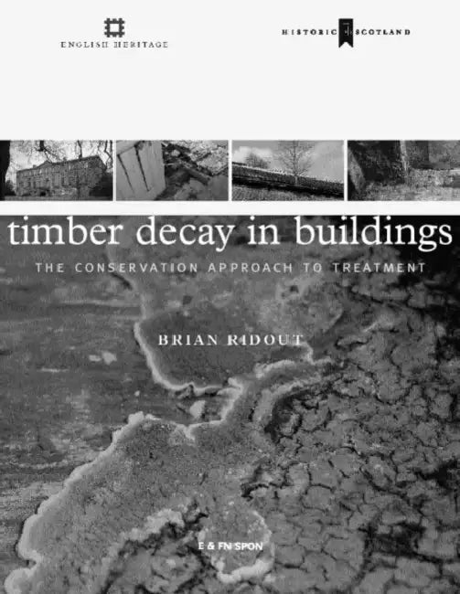 Timber Decay in Buildings: The Conservation Approach to Treatment by Brian Ridout