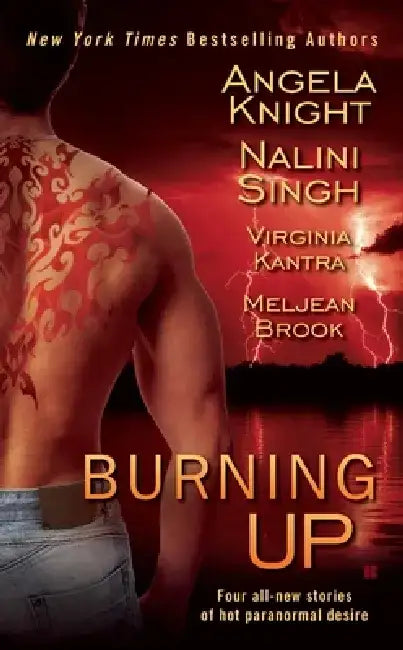 Burning Up by Angela Knight