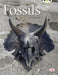 Bug Club Guided Non Fiction Year Two Gold A Fossils by Jill McDougall