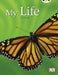 Bug Club Guided Non Fiction Year 1 Yellow C My Life by Lisa James