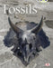Bug Club Non-fiction Gold A/2B Fossils 6-pack by Jill McDougall