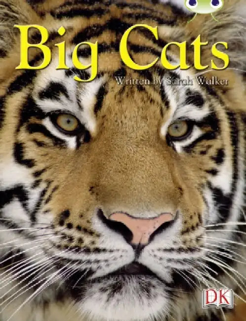 BC NF Brown B/3B Big Cats by Sarah Walker
