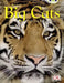 BC NF Brown B/3B Big Cats by Sarah Walker