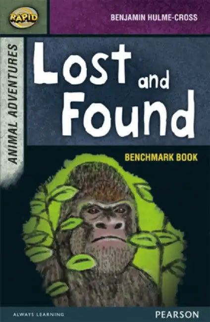 Rapid Stage 7 Assessment book: Lost and Found by Dee Reid