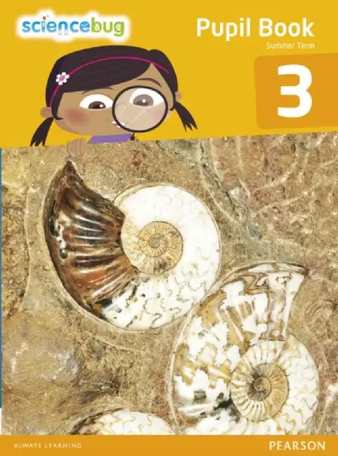 Science Bug Pupil Book Year 3 by Debbie Eccles
