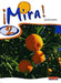 Mira 2 Pupil Book by Anneli McLachlan