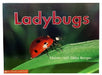 Time-To-Discover: Lady Bugs by Melvin