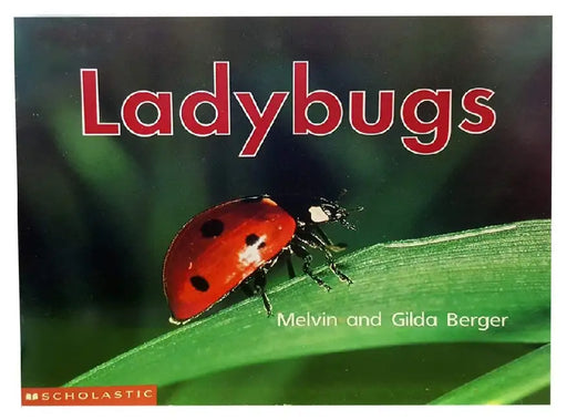 Time-To-Discover: Lady Bugs by Melvin