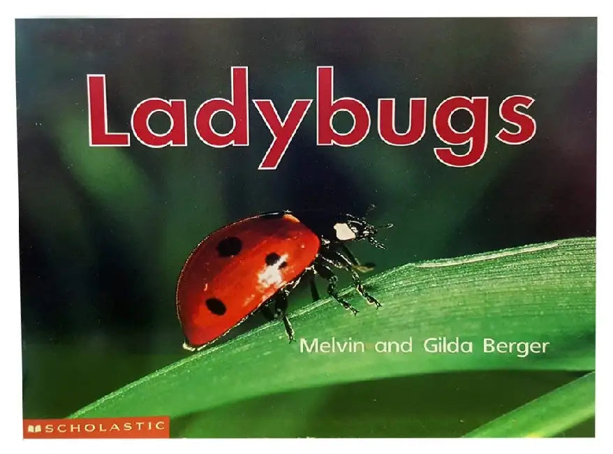 Time-To-Discover: Lady Bugs by Melvin