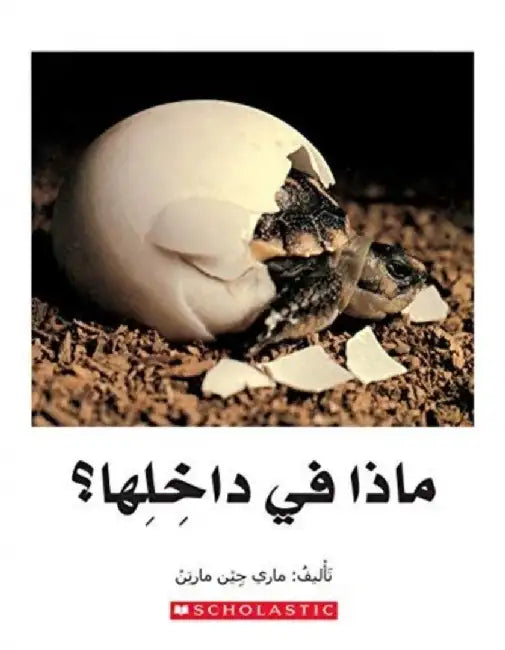 WHATS INSIDE by SCHOLASTIC