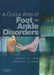 A Colour Atlas of Foot and Ankle Disorders by Alethea Vm Foster