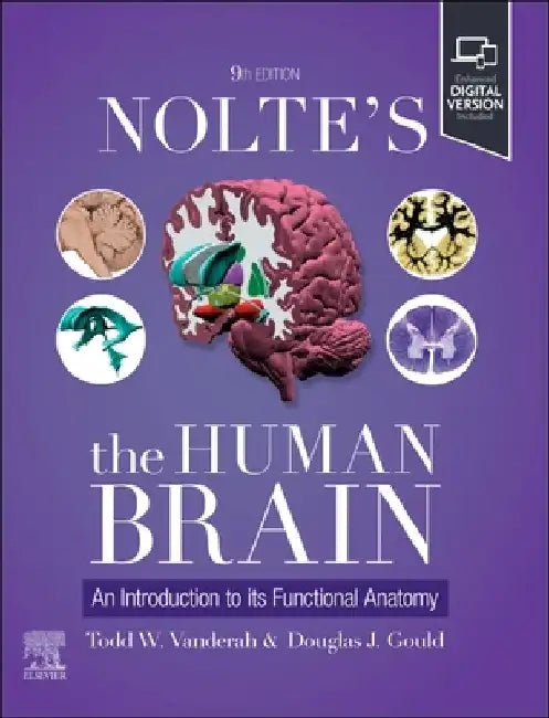 Nolte's The Human Brain: An Introduction to its Functional Anatomy by Todd W., PhD (Regents Professor and Head, Department of Pharmacology, Co-Director of the MD/PhD Program, University of Arizona, Tucson, Arizona, USA) Vanderah