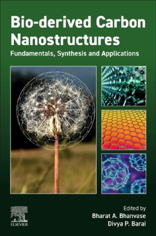 Bio-derived Carbon Nanostructures: Fundamentals, Synthesis and Applications by Bharat Apparao Bhanvase