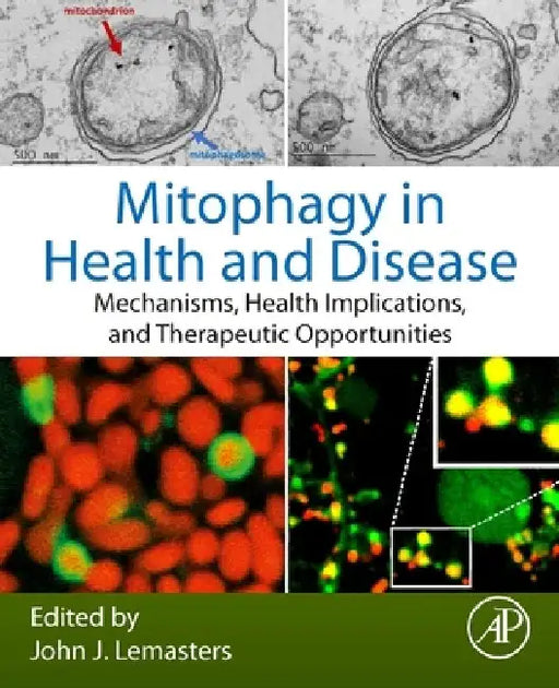Mitophagy in Health and Disease: Mechanisms, Health Implications, and Therapeutic Opportunities by John J. Lemasters