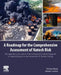 A Roadmap for the Comprehensive Assessment of Natech Risk: Management and Control of Technological Accidents Triggered by Natural Hazards in the Frame by Alessio Misuri