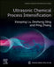 Ultrasonic Chemical Process Intensification by Xiaoping Lu, Desheng Ding, Ping Zhang