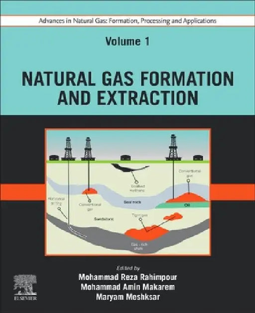 Advances in Natural Gas: Formation, Processing and Applications. Volume 1: Natural Gas Formation and Extraction by Mohammad Reza Rahimpour