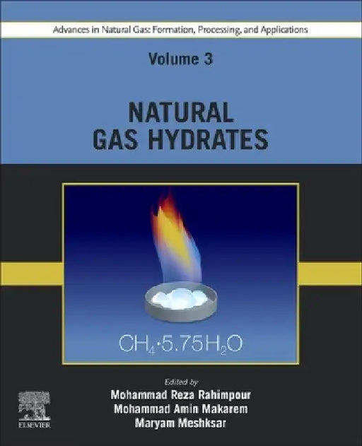 Advances in Natural Gas: Formation, Processing, and Applications. Volume 3: Natural Gas Hydrates by Mohammad Reza Rahimpour