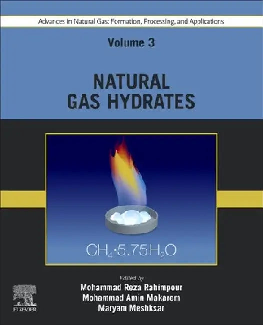 Advances in Natural Gas: Formation, Processing, and Applications. Volume 3: Natural Gas Hydrates by Mohammad Reza Rahimpour