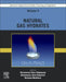 Advances in Natural Gas: Formation, Processing, and Applications. Volume 3: Natural Gas Hydrates by Mohammad Reza Rahimpour