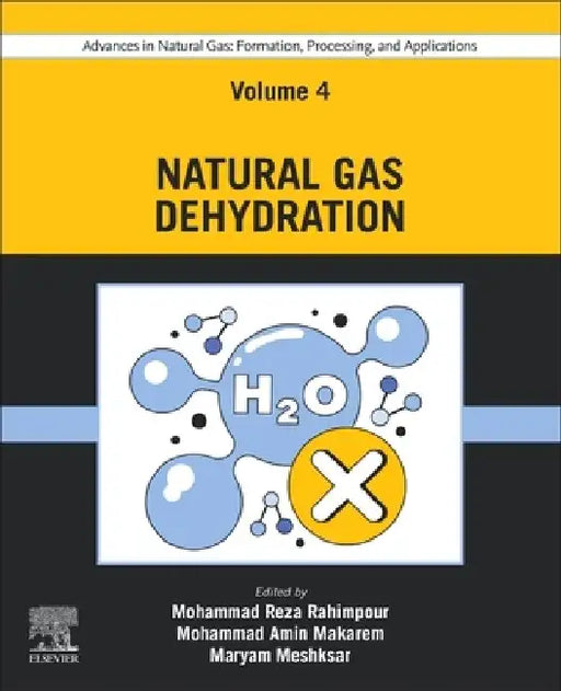 Advances in Natural Gas: Formation, Processing, and Applications. Volume 4: Natural Gas Dehydration by Mohammad Reza Rahimpour