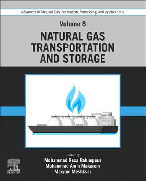 Advances in Natural Gas: Formation, Processing, and Applications. Volume 6: Natural Gas Transportation and Storage by Mohammad Reza Rahimpour