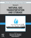 Advances in Natural Gas: Formation, Processing, and Applications. Volume 6: Natural Gas Transportation and Storage by Mohammad Reza Rahimpour
