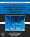 Advances in Natural Gas: Formation, Processing, and Applications. Volume 8: Natural Gas Process Modelling and Simulation by Mohammad Reza Rahimpour