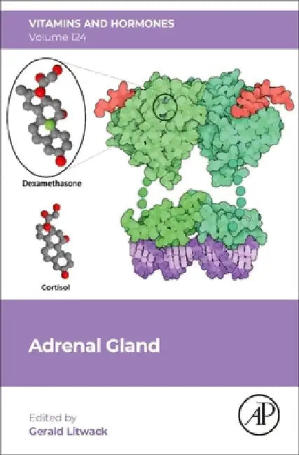 Adrenal Gland: Volume 124 by Gerald Litwack