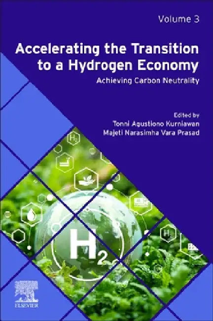 Accelerating the Transition to a Hydrogen Economy: Achieving Carbon Neutrality by Tonni Agustiono Kurniawan