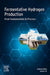 Fermentative Hydrogen Production: From Fundamentals to Processes by Yanan Yin