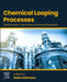 Chemical Looping Processes: Fundamentals, Current Status, and Future Perspectives by Nader Mahinpey