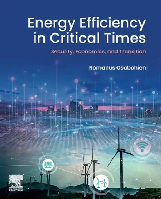 Energy Efficiency in Critical Times: Security, Economics, and Transition by Romanus Osabohien
