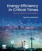 Energy Efficiency in Critical Times: Security, Economics, and Transition by Romanus Osabohien