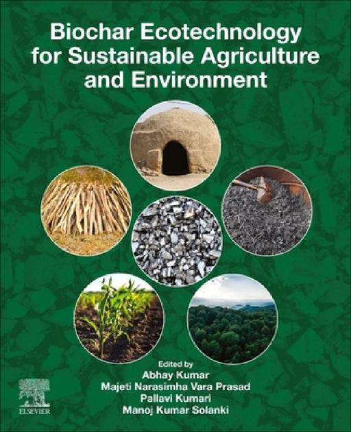 Biochar Ecotechnology for Sustainable Agriculture and Environment by Abhay Kumar, Majeti Narasimha Vara Prasad, Pallavi Kumari