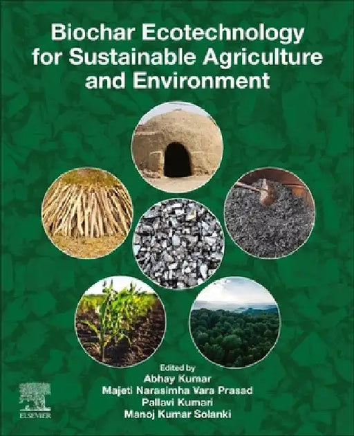 Biochar Ecotechnology for Sustainable Agriculture and Environment by Abhay Kumar