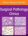 Pediatric Pathology: Emerging Entities, Current Trends, and Comprehensive Updates, an Issue of Surgical Pathology Clinics: Volume 18-2 by Alyaa Al-Ibraheemi