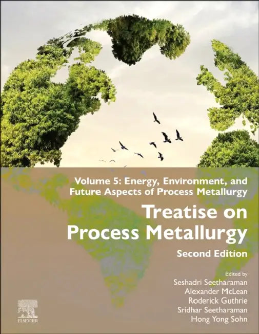 Treatise on Process Metallurgy: Energy, Environment, and Future Aspects of Process Metallurgy by Seshadri Seetharaman