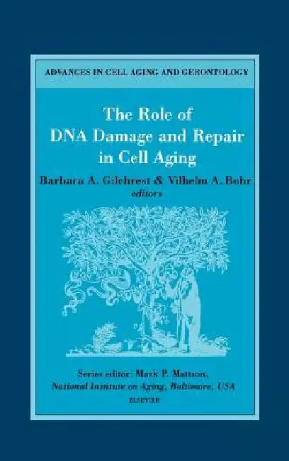The Role of DNA Damage and Repair in Cell Aging by B. a. Gilchrest