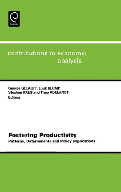 Fostering Productivity: Patterns, Determinants and Policy Implications by George Gelauff, Luke Klomp