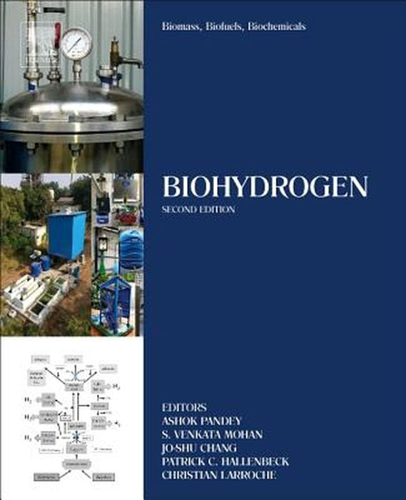 Biomass Biofuels Biochemicals: Biohydrogen by Pandey Ashok