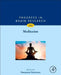 Meditation by Narayanan Srinivasan