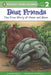 Best Friends: The True Story of Owen and Mzee by Roberta Edwards