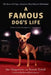 A Famous Dog's Life: The Story of Gidget, America's Most Beloved Chihuahua by Sue Chipperton