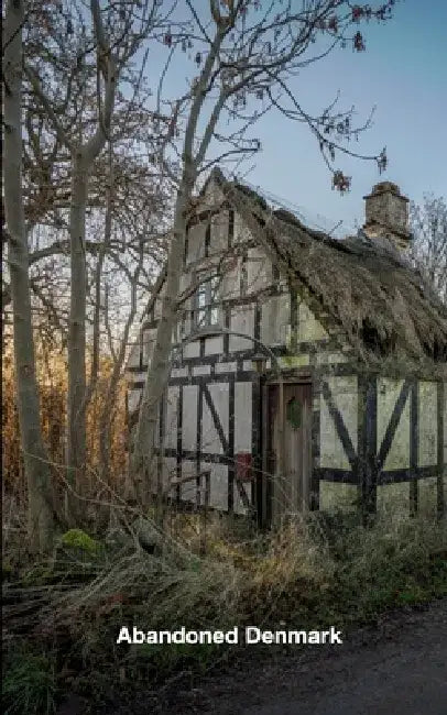 Abandoned Denmark by Henrik Haupt