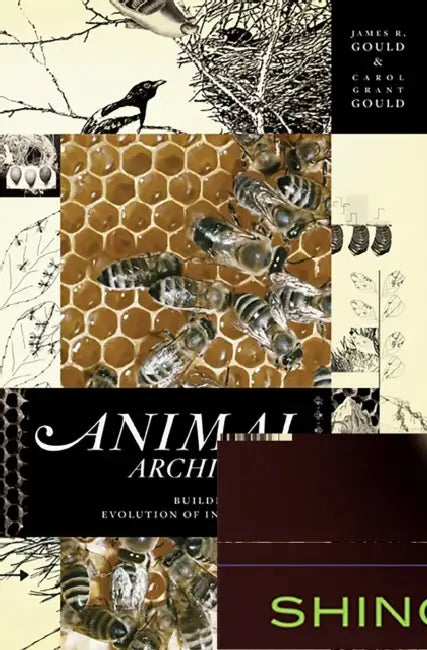 Animal Architects: Building and the Evolution of Intelligence by James L. Gould, Carol Grant Gould