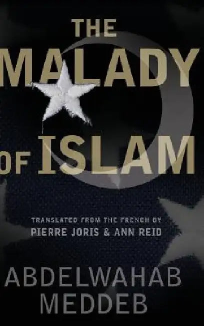 Malady of Islam by Abdelwahab Meddeb