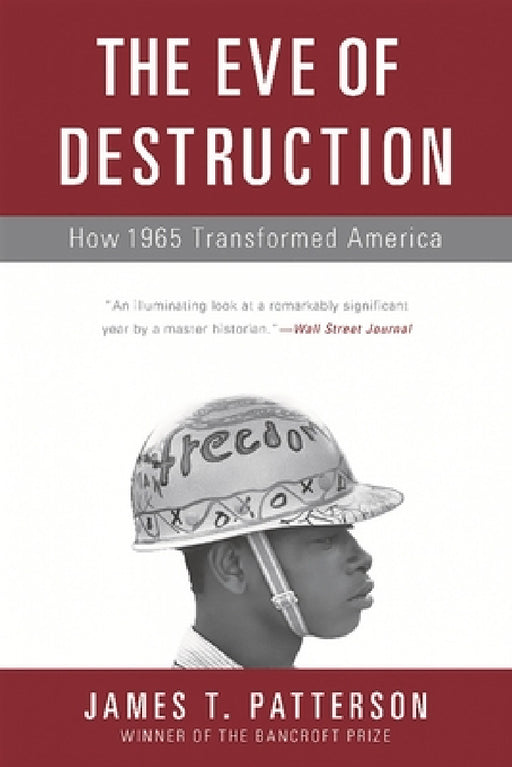 The Eve of Destruction: How 1965 Transformed America by James T. Patterson