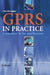 GPRS in Practice: A Companion to the Specifications by Peter McGuiggan